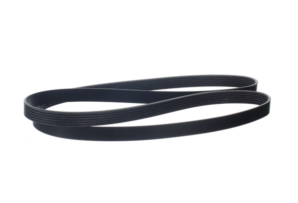 Serpentine Belt PV08562