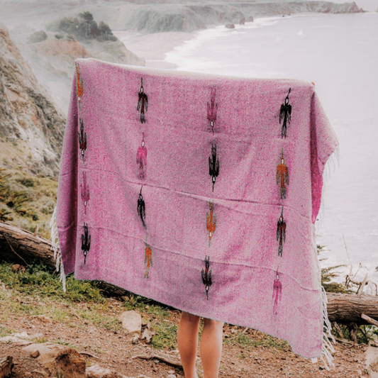 Pink Baja Thunderbird Blanket