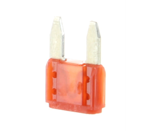 Mini Fuse 10 Amp MV8V-1463