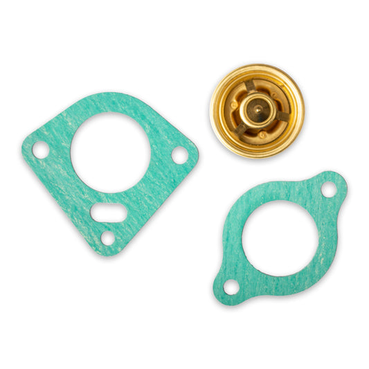 491010 KIT THERMOSTAT (LOW PROFILE HS