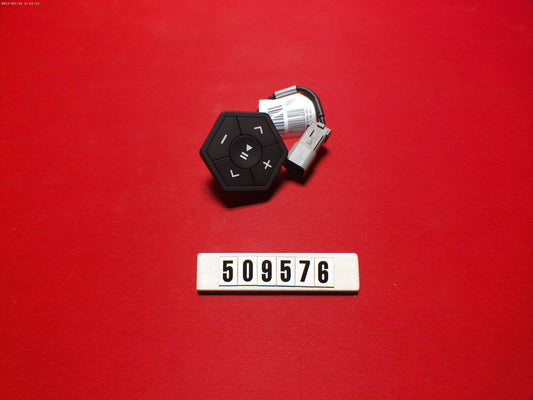 MasterCraft Stereo Remote 509576