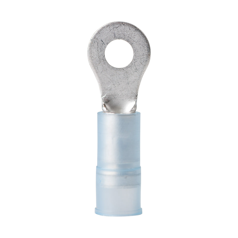 Ancor 1614 AWG  6 Nylon Ring Terminal  25Pack 210211