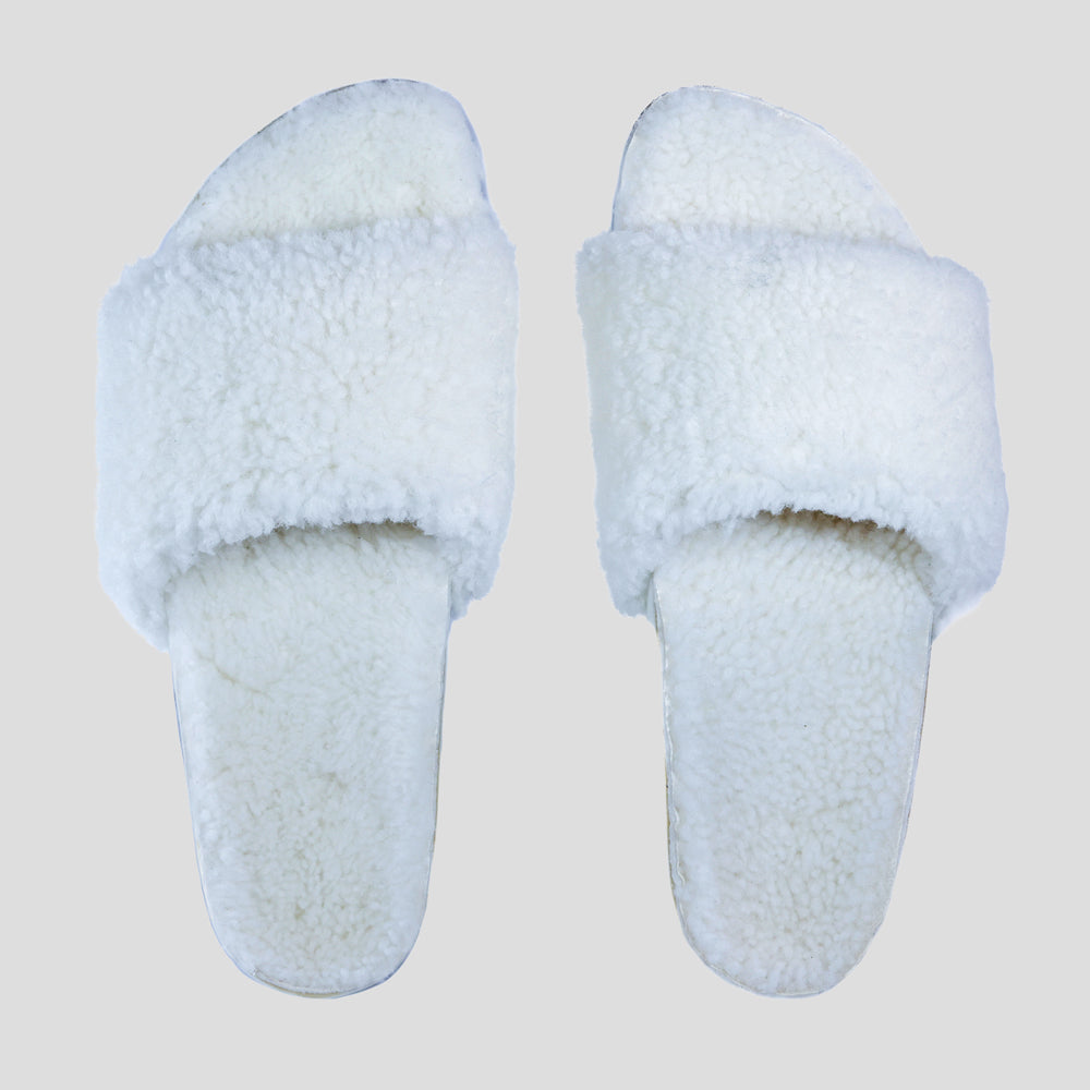 The Cito Slide - Iceberg