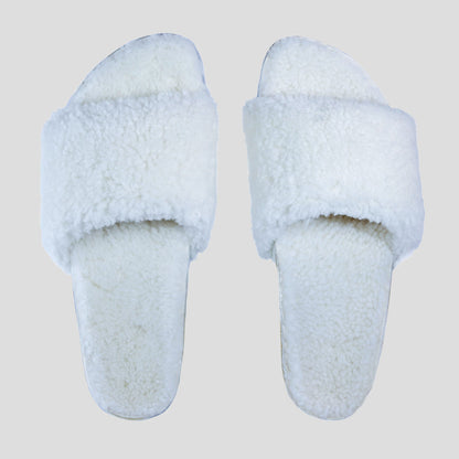 The Cito Slide - Iceberg