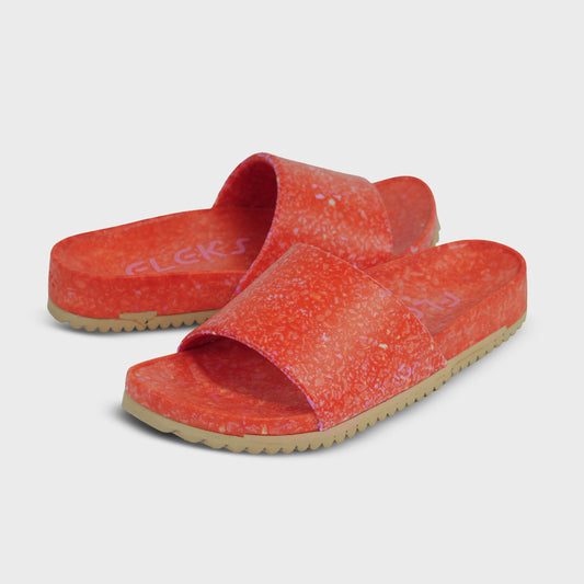 East Beach Slide - Starfish