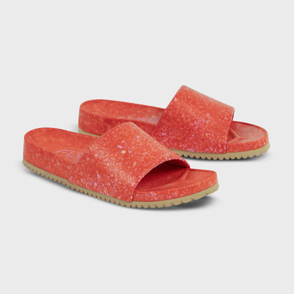 East Beach Slide - Starfish