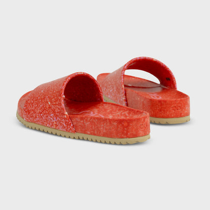 East Beach Slide - Starfish