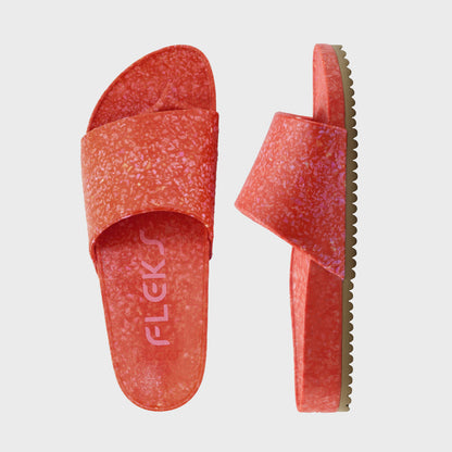 East Beach Slide - Starfish