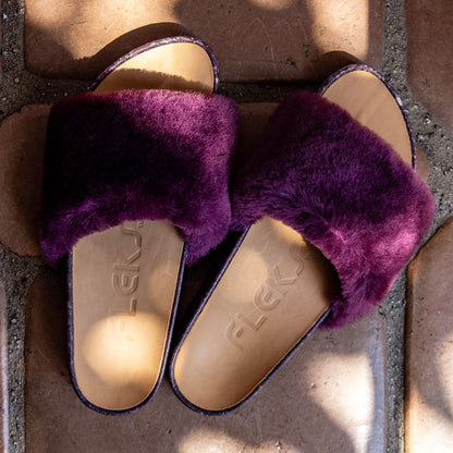 San Ysidro Slide - Fig