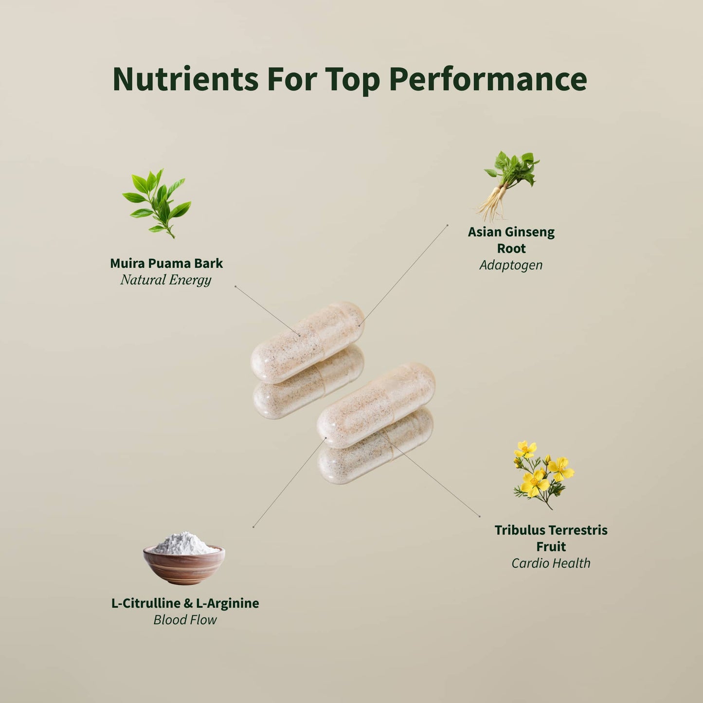 Nitric Oxide + Testo Booster (2+1 BOGO)