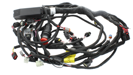 Ilmor G5 Common with Fuel Pressure Harness PL00730