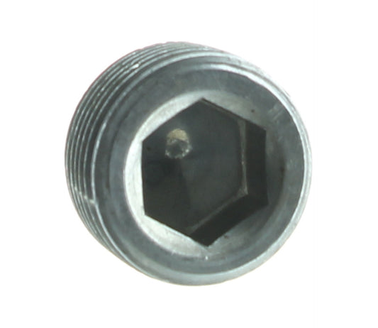 Exhaust Manifold Water Distribution Rail Plug PV06534