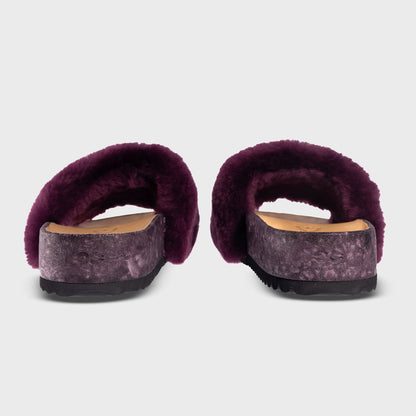 San Ysidro Slide - Fig