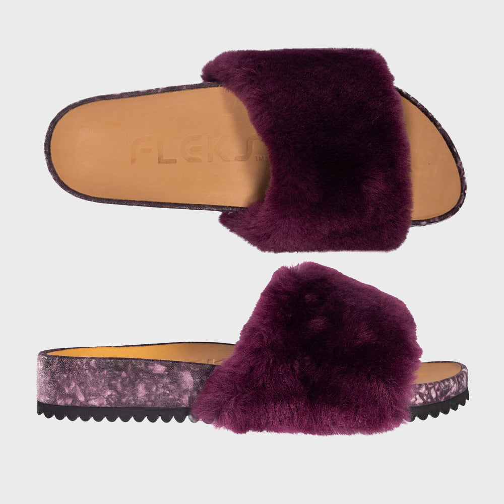 San Ysidro Slide - Fig