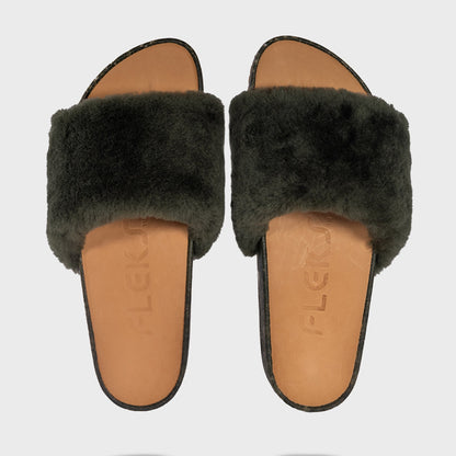 San Ysidro Slide - Forest