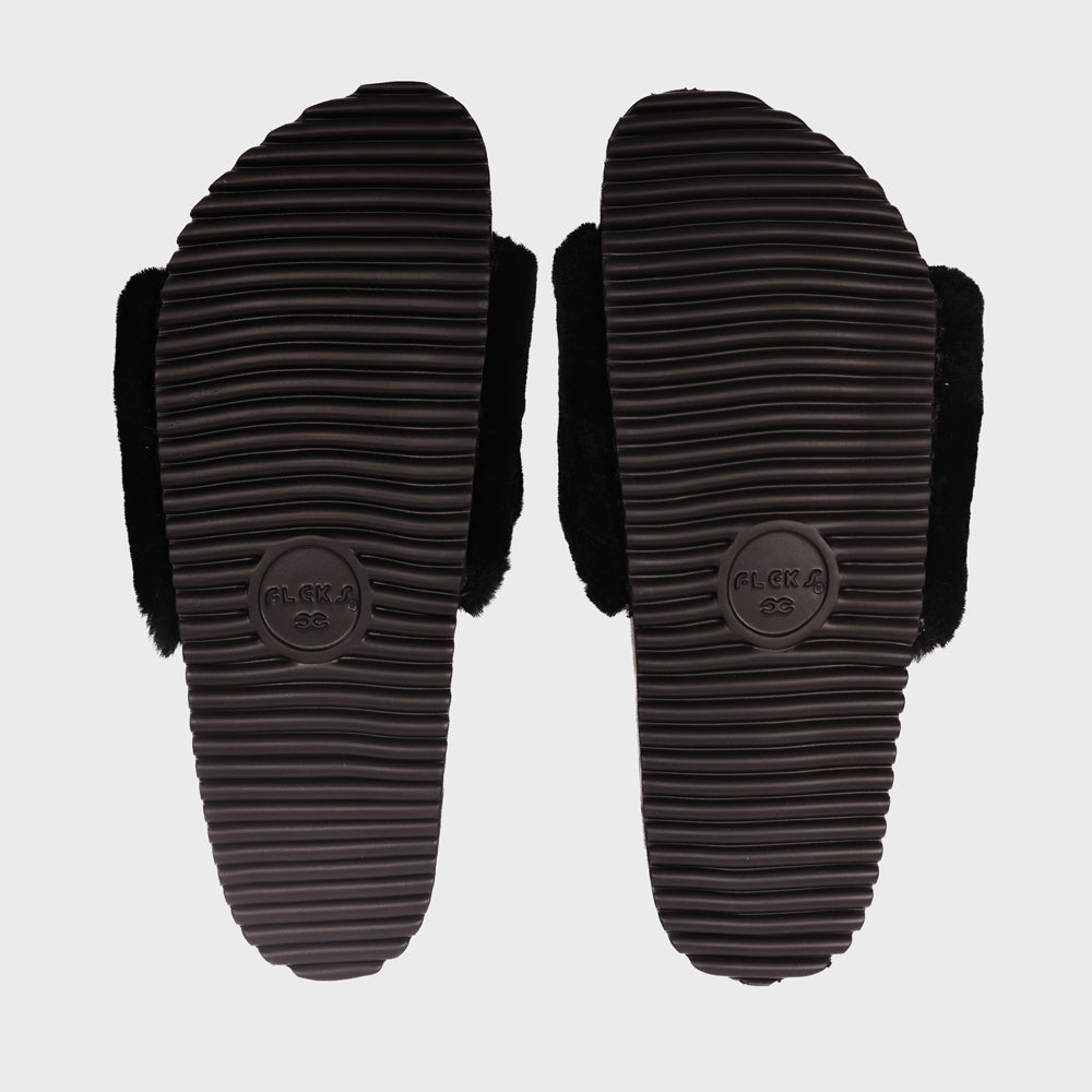 San Ysidro Slide - Raven