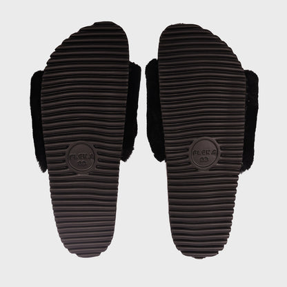 San Ysidro Slide - Raven