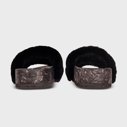 San Ysidro Slide - Raven