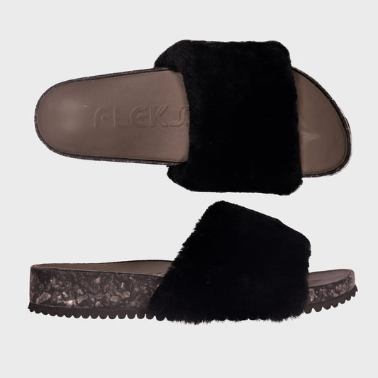 San Ysidro Slide - Raven