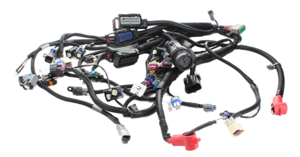 Ilmor Engine Wiring Harness PL00364