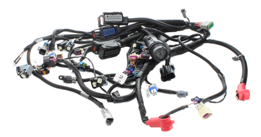 Ilmor Engine Wiring Harness PL00364