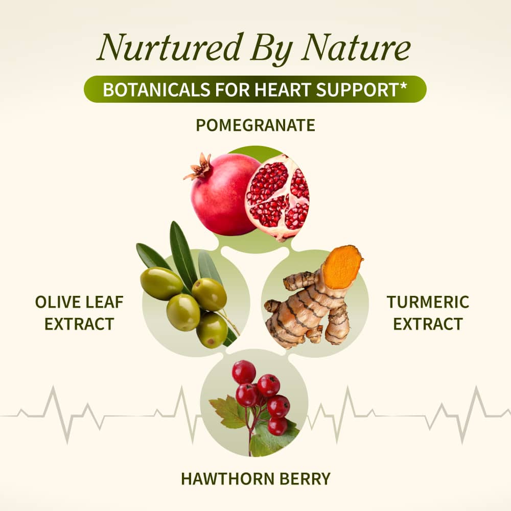 Heart Health & Nitric Oxide Bundle
