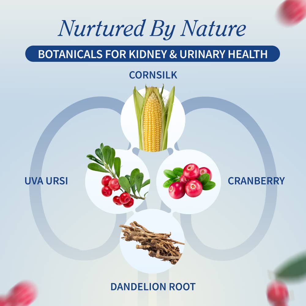 Kidney Health - 3 Month Supply