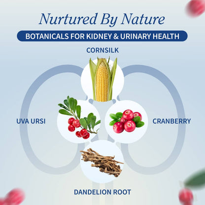 Kidney Health - Buy 2, Get 1 FREE!