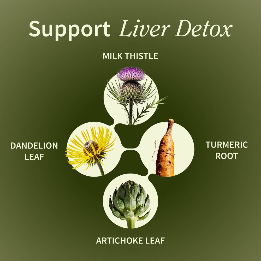 Liver Health & Detox - 6 Month Supply