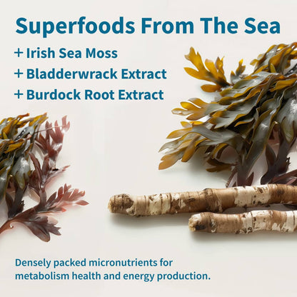 Irish Sea Moss w/ Iodine Energy Support - Buy 2, Get 1 FREE!