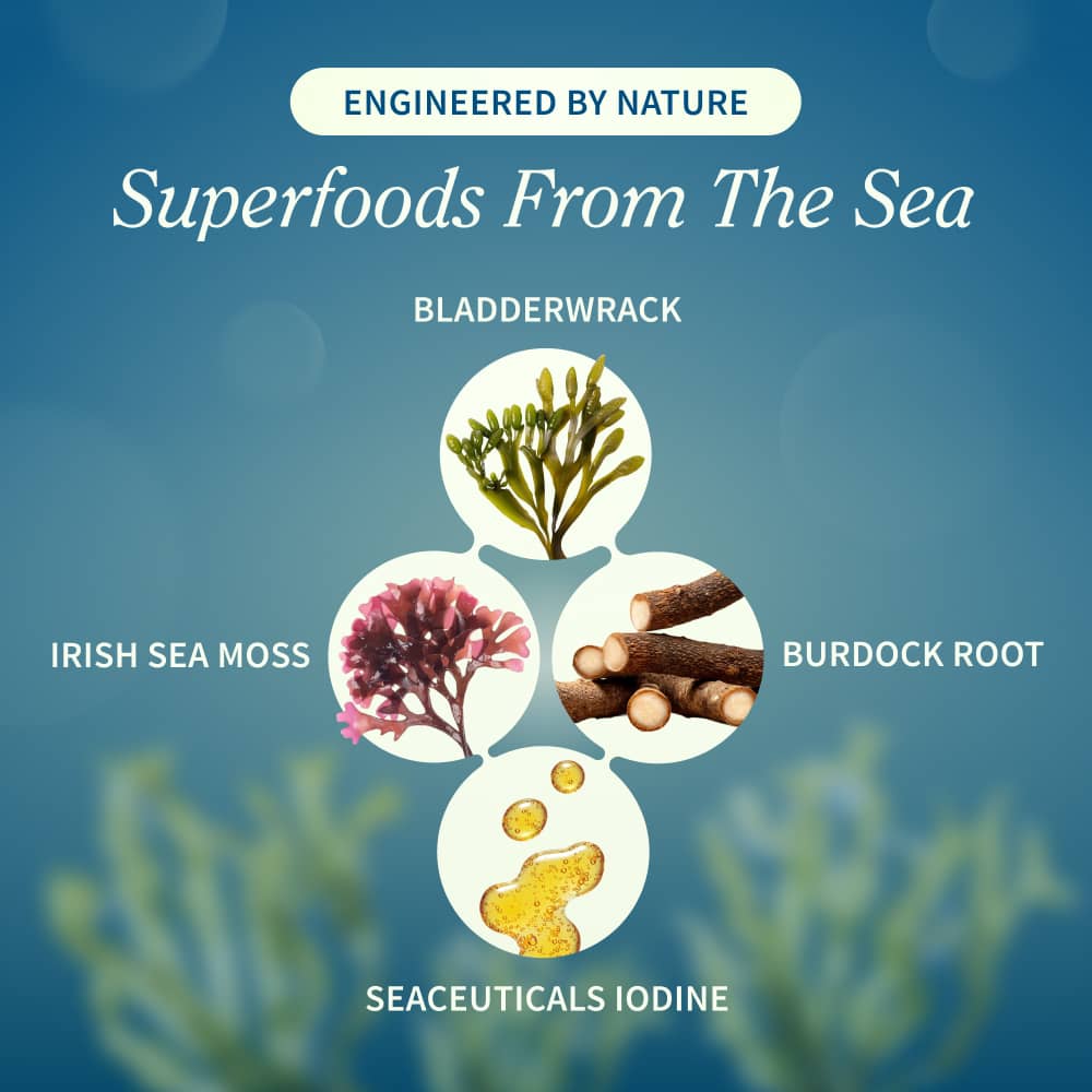 Irish Sea Moss w/ Iodine Energy Support - Buy 2, Get 1 FREE!