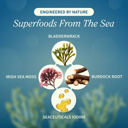 Irish Sea Moss with Iodine Energy Support - Buy 3, Get 2 FREE!